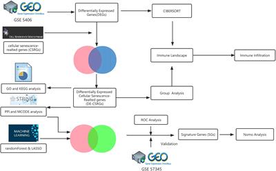 Integrated bioinformatics and machine learning algorithms reveal the critical cellular senescence-associated genes and immune infiltration in heart failure due to ischemic cardiomyopathy